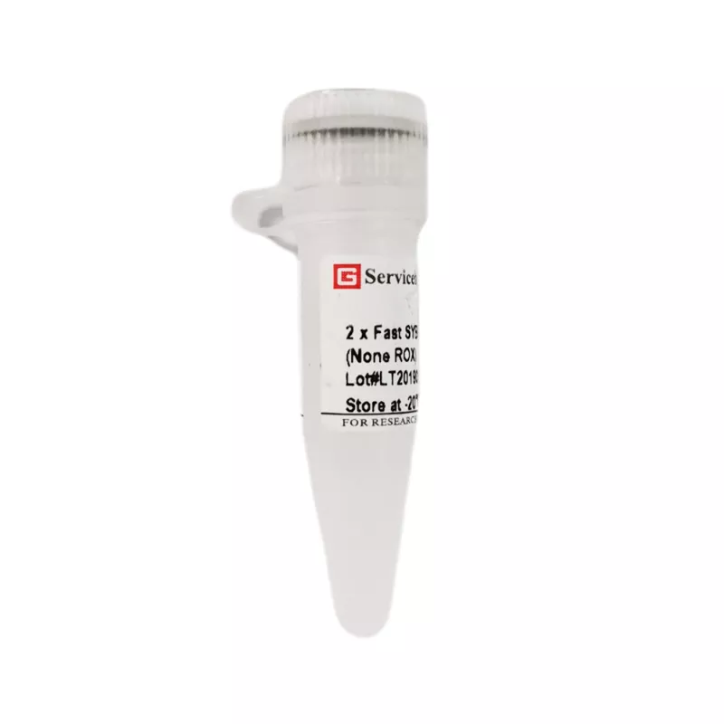 Servicebio 2 × Fast SYBR Green qPCR Master Mix (None ROX)