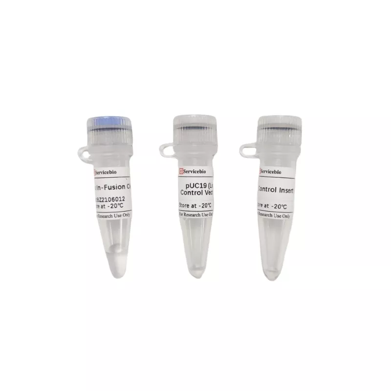 Servicebio 2×In-Fusion Cloning Mix