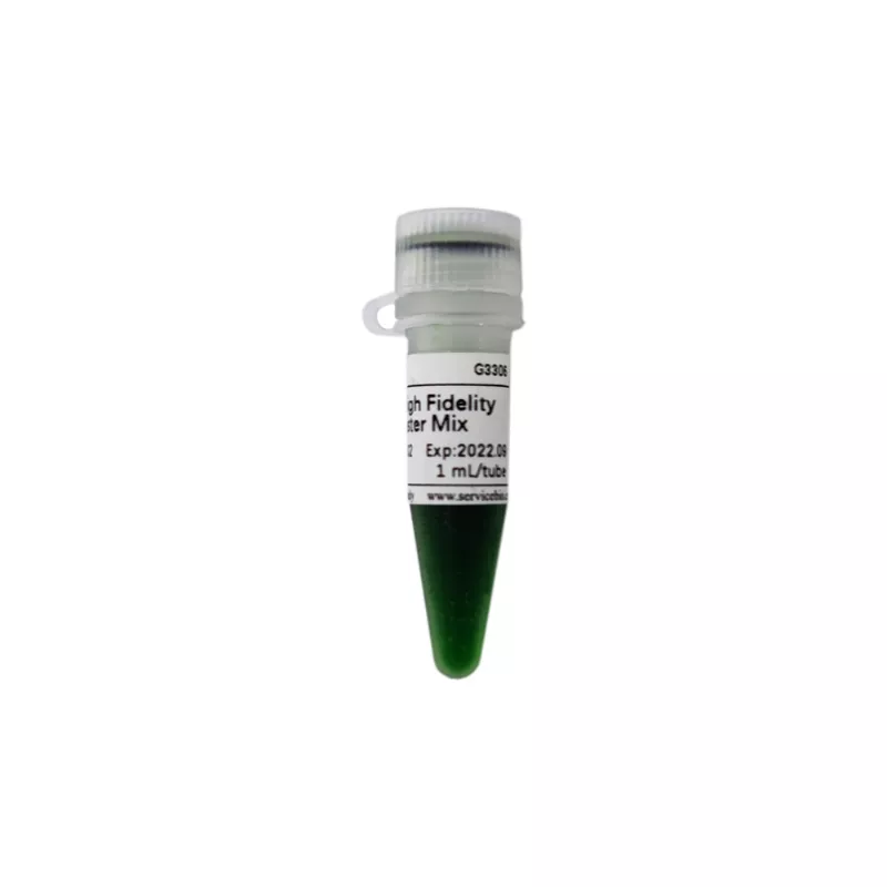 Servicebio 2×Fast High Fidelity PCR Master Mix