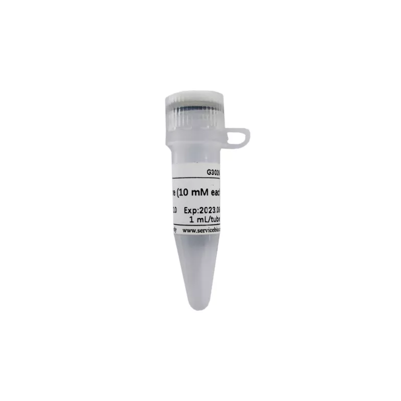 Servicebio dNTP Mixture (10 mM each)