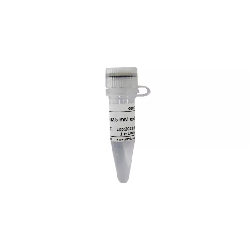Servicebio dNTP Mixture (2.5 mM each)