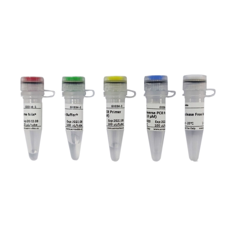 Servicebio miRNA First Strand cDNA Synthesis Kit(Tailing Reaction)