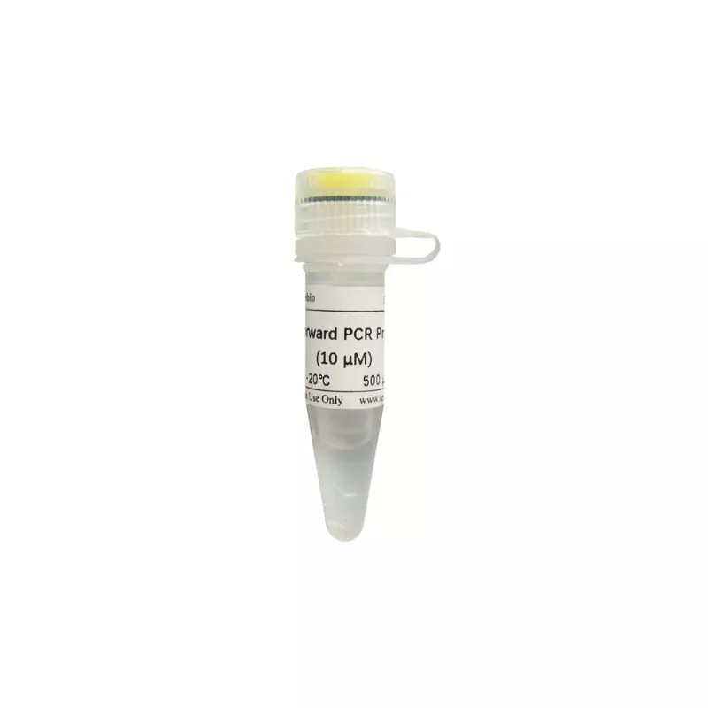 Servicebio U6 Forward PCR Primer (for miRNA qRT-PCR)