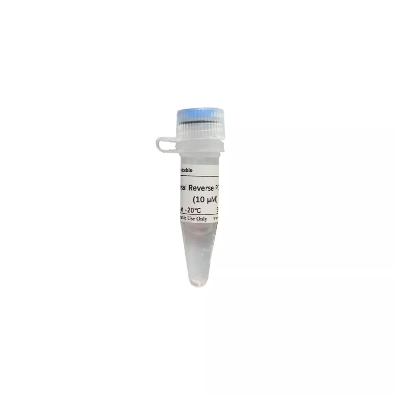 Servicebio Universal Reverse PCR Primer (for miRNA qRT-PCR)
