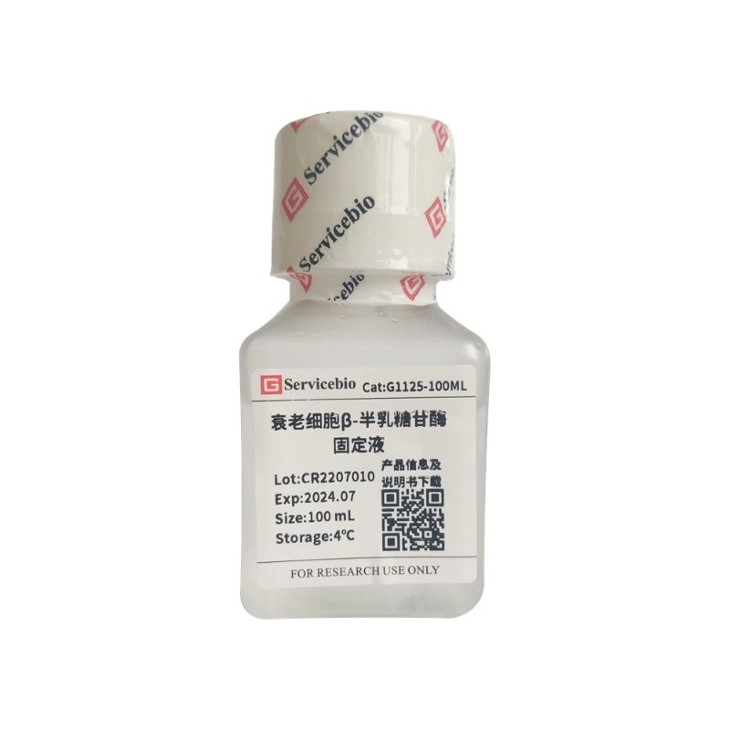 Servciebio 衰老细胞β-半乳糖苷酶固定液