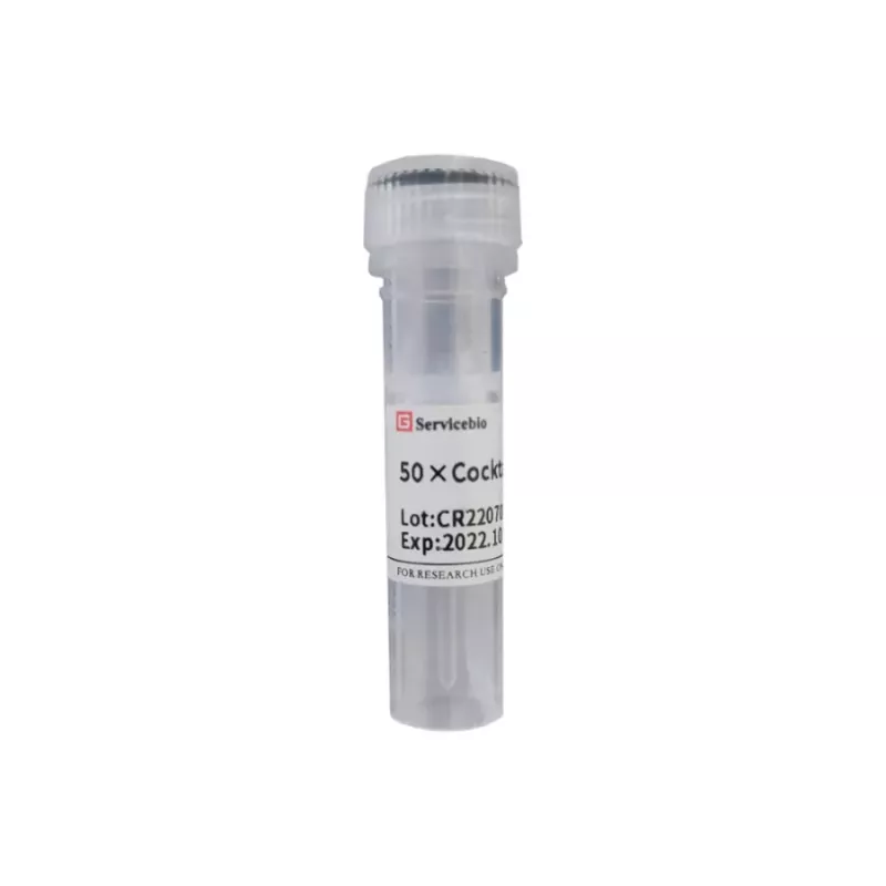 Servicebio 50×Cocktail Protease Inhibitor