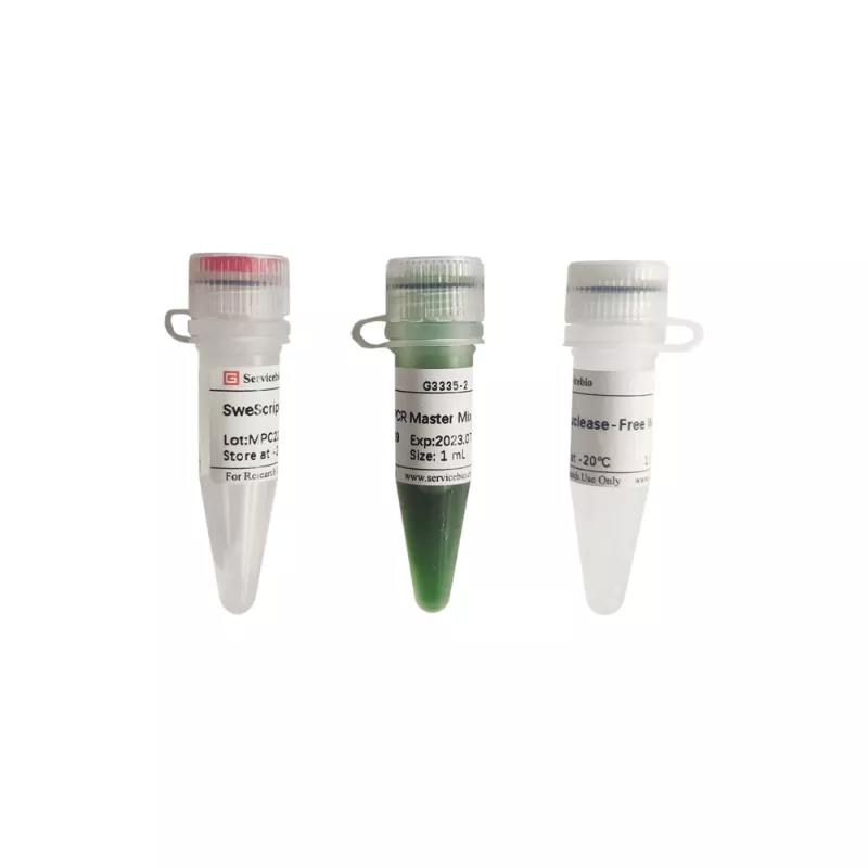 Servicebio SweScript One-Step RT-PCR Kit