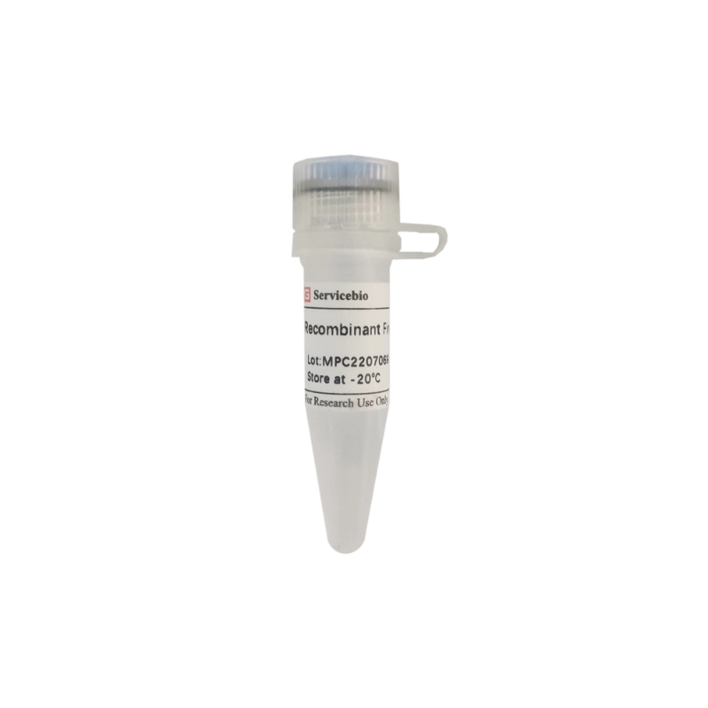 Servicebio Recombinant Firefly Luciferase
