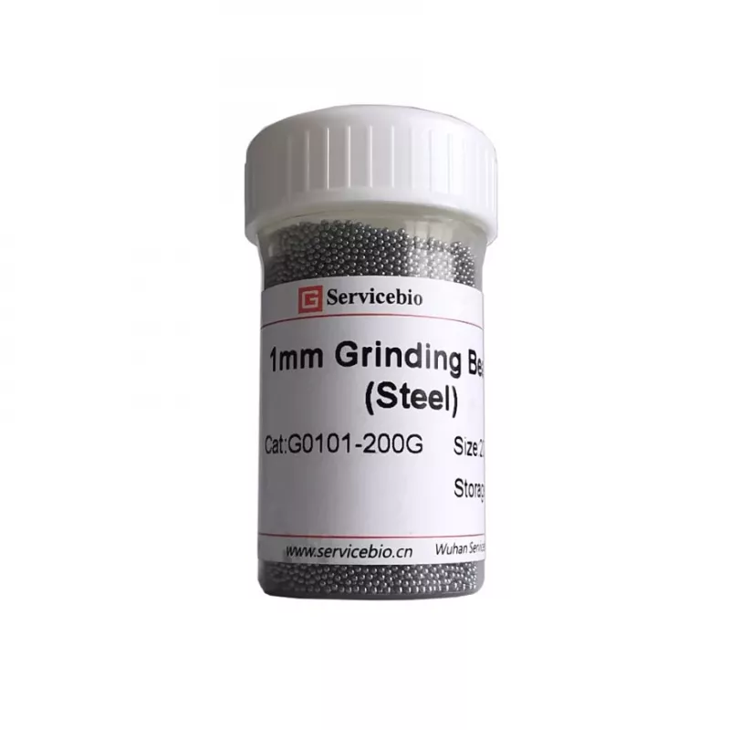 Servicebio 1 mm 不鏽鋼研磨珠