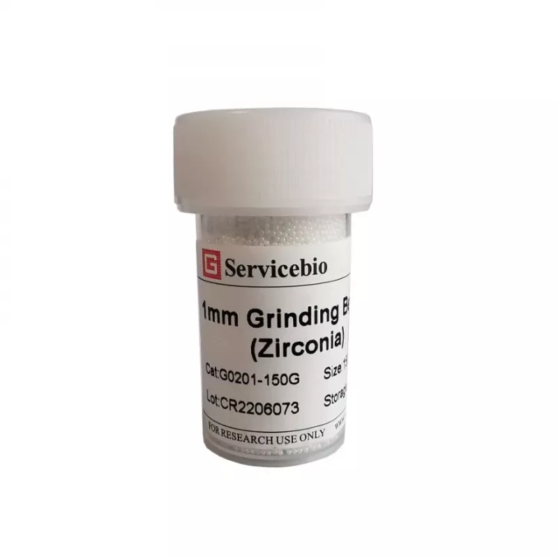 Servicebio 1 mm 氧化鋯研磨珠
