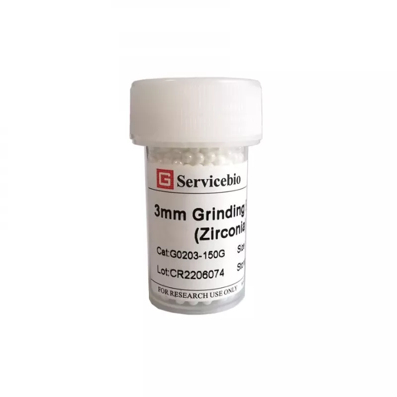 Servicebio 3 mm 氧化鋯研磨珠 