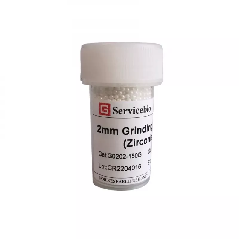 Servicebio 0.1mm 氧化鋯研磨珠