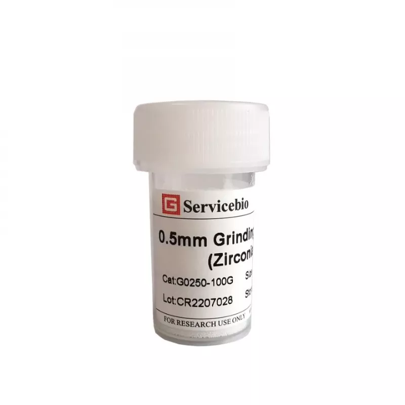 Servicebio 0.5mm 氧化鋯研磨珠