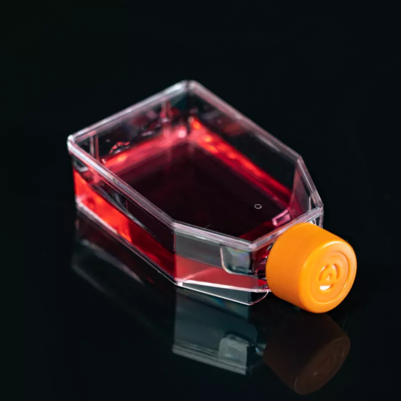 細胞培養瓶-T25F (TC 處理,透氣蓋) CCF-25F