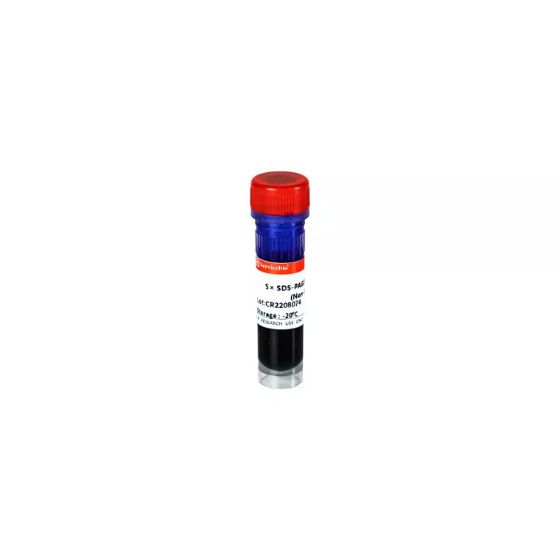Servicebio 5 x SDS-PAGE Loading Buffer (非還原型) | 賾屨有限公司