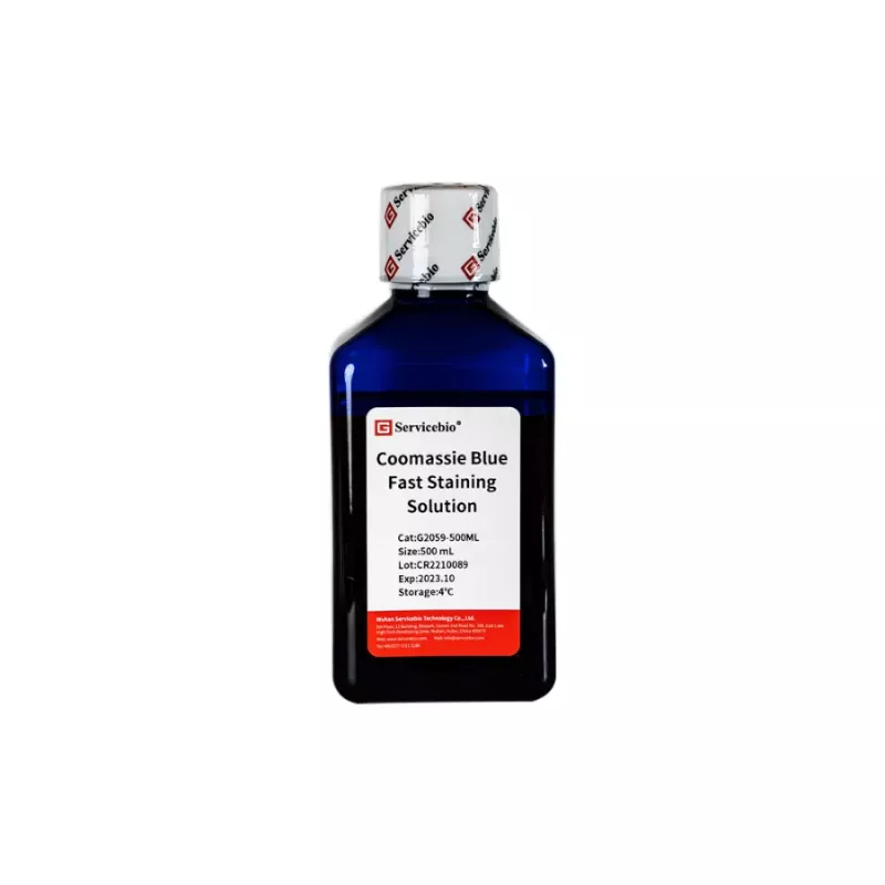 Servicebio Coomassie Bright Blue Ultrafast Staining