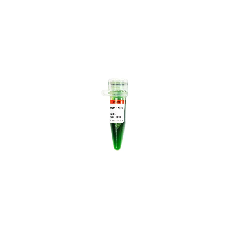 Servicebio 2×Fast Pfus PCR Master Mix