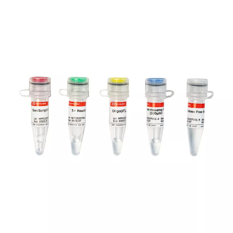 Servicebio SweScript RT I First Strand cDNA Synthesis Kit | 賾屨有限公司