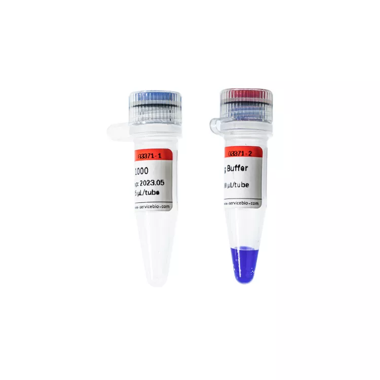 Servicebio RNA Marker 1000