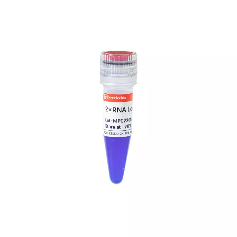 Servicebio 2×RNA Loading Buffer
