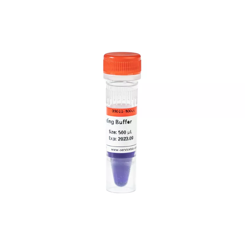 Servicebio 6× DNA Loading Buffer (藍色)