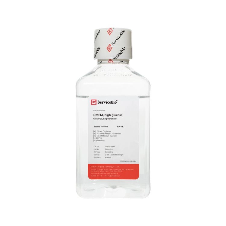 DMEM, high glucose, GlutaPlus, no phenol red