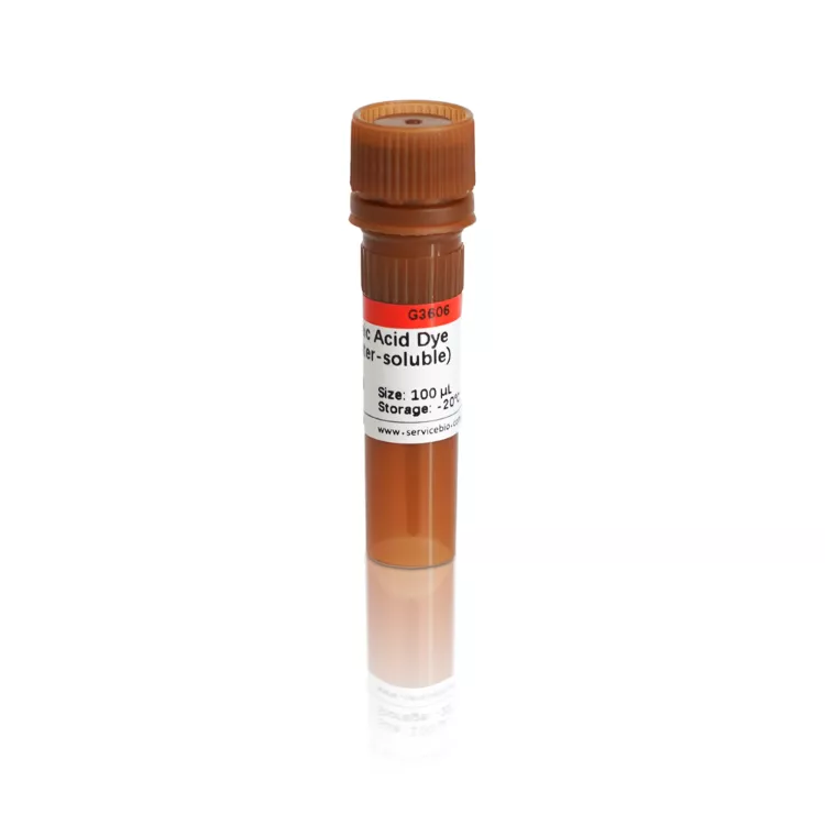 Servicebio SerRed Nucleic Acid Gel Stain (10000×, 安全染劑)