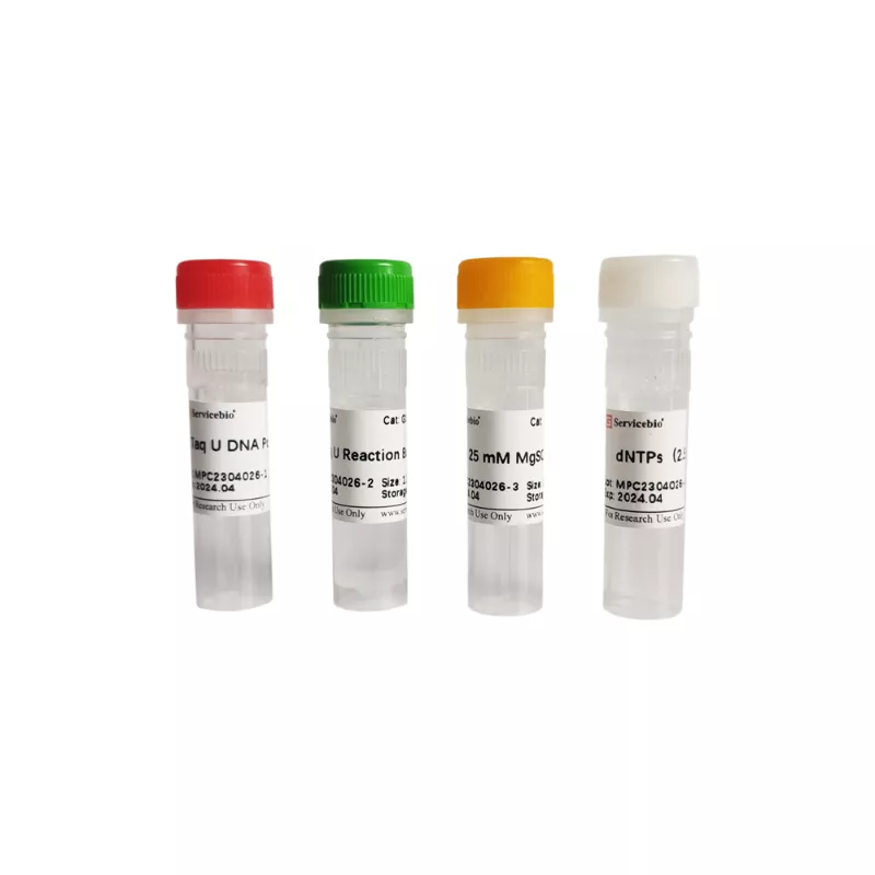 Servicebio Taq U DNA Polymerase(for bisulfite-treated DNA)