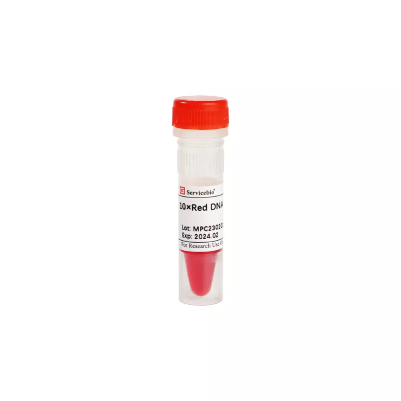 Servicebio 10×Peach DNA Loading Buffer (桃紅)