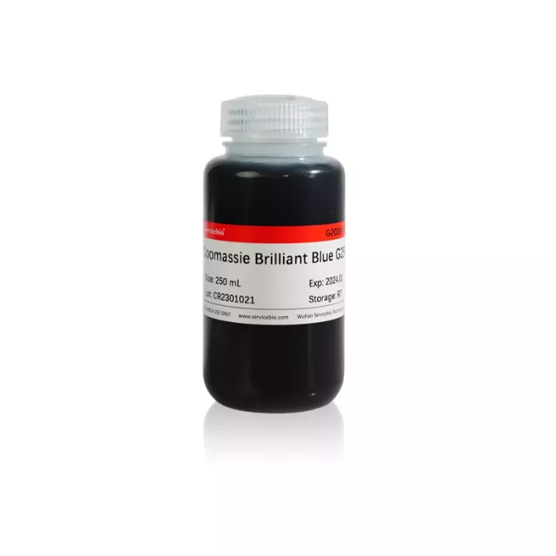 Servicebio Coomassie Brilliant Blue G250 