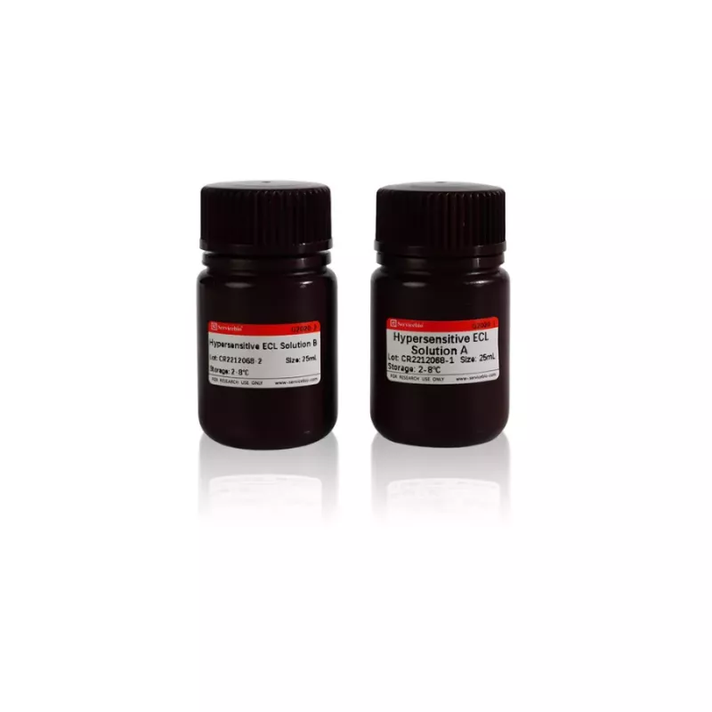 Servicebio 超靈敏 ECL  Kit（Femtogram）