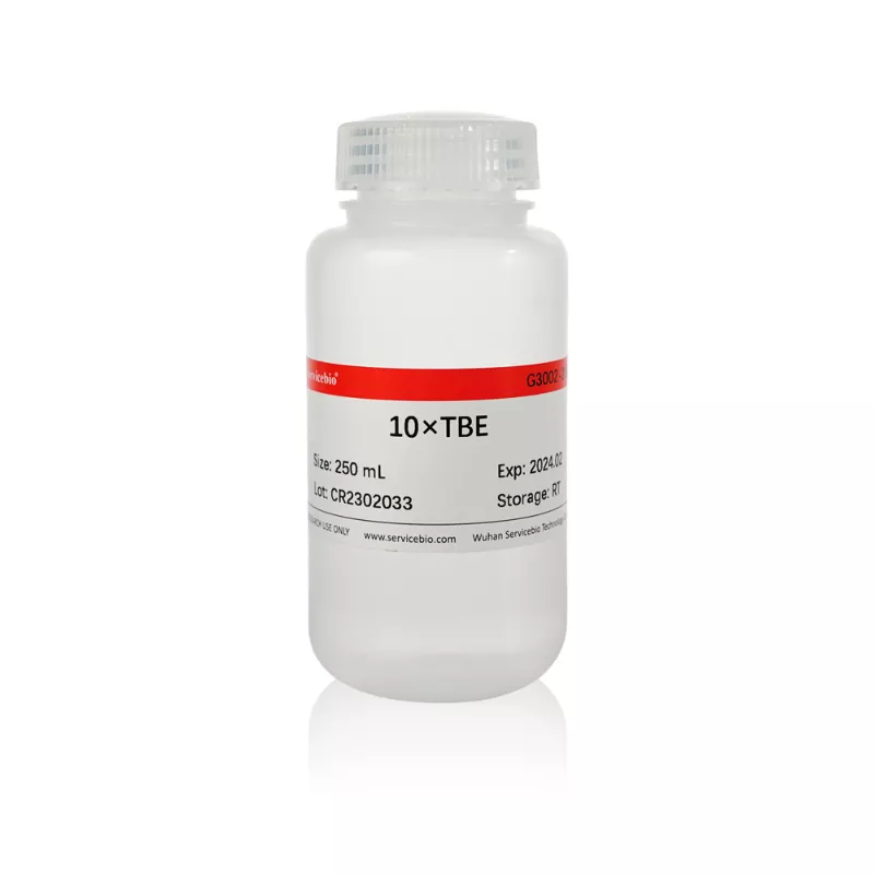 Servicebio 10×TBE 電泳緩衝液