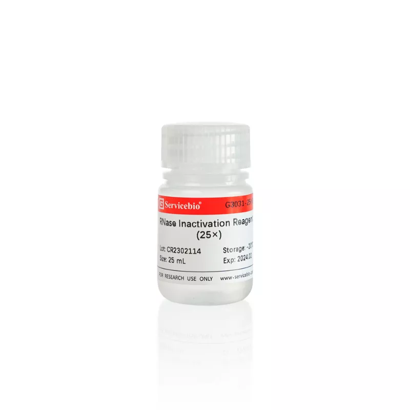 Servicebio RNase Inactivating Solution (25×)