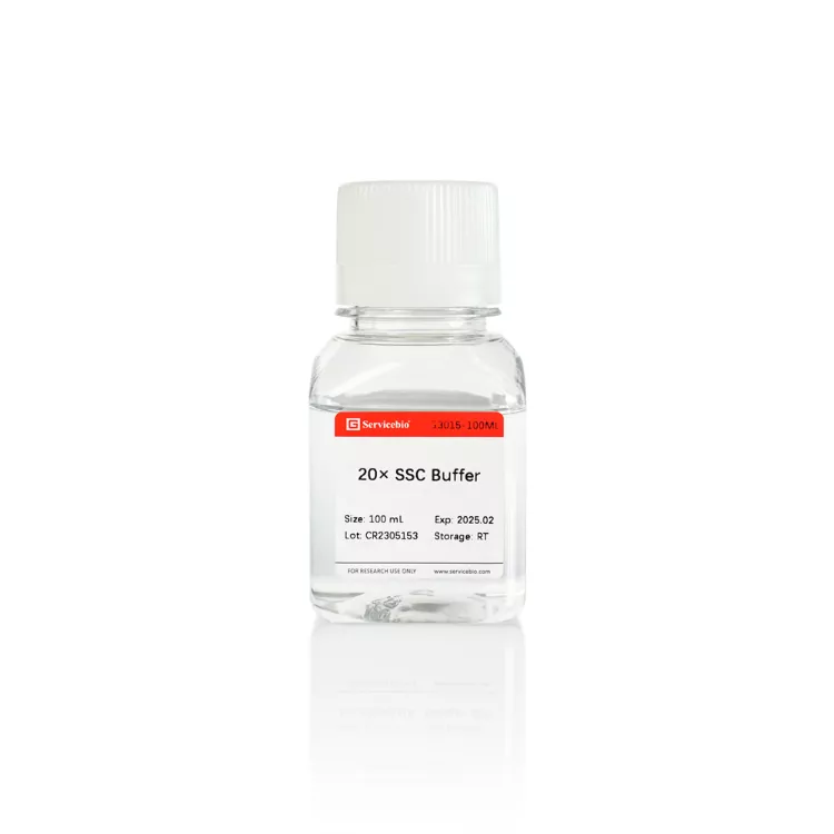 Servicebio 20×SSC 緩衝液