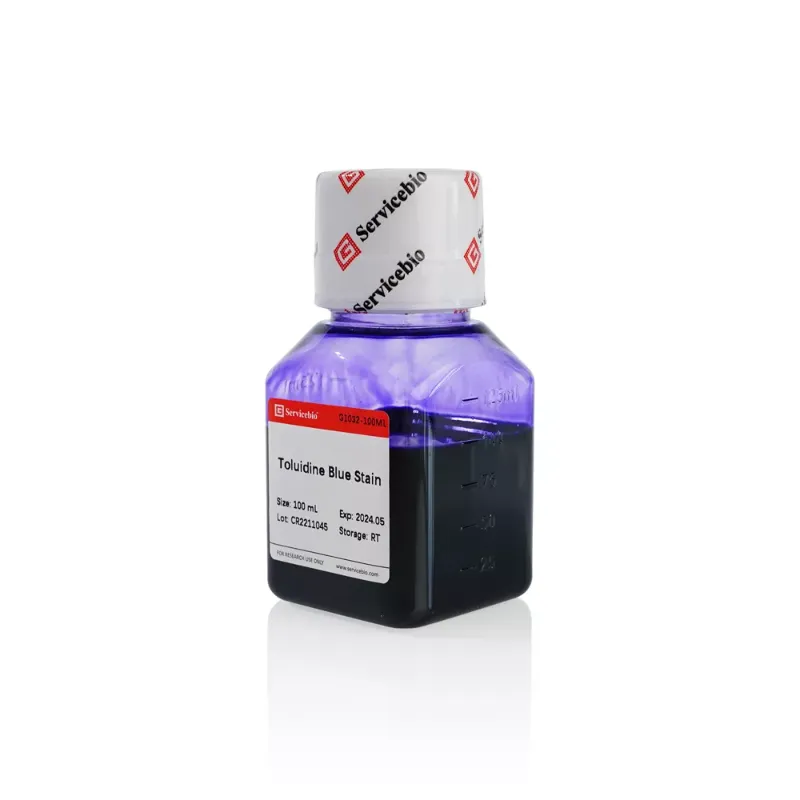 Servicebio Toluidine Blue Dye Solution