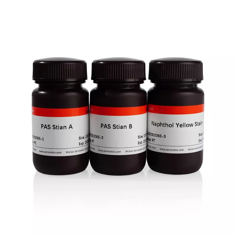 Servicebio PAS+Naphthol Yellow S Staining Solution