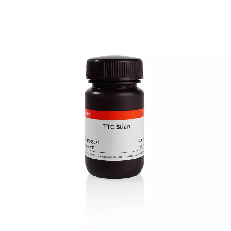 Servicebio TTC Staining Solution