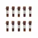 Mycoplasma (黴漿菌) Elimination Reagent Plus (100×)