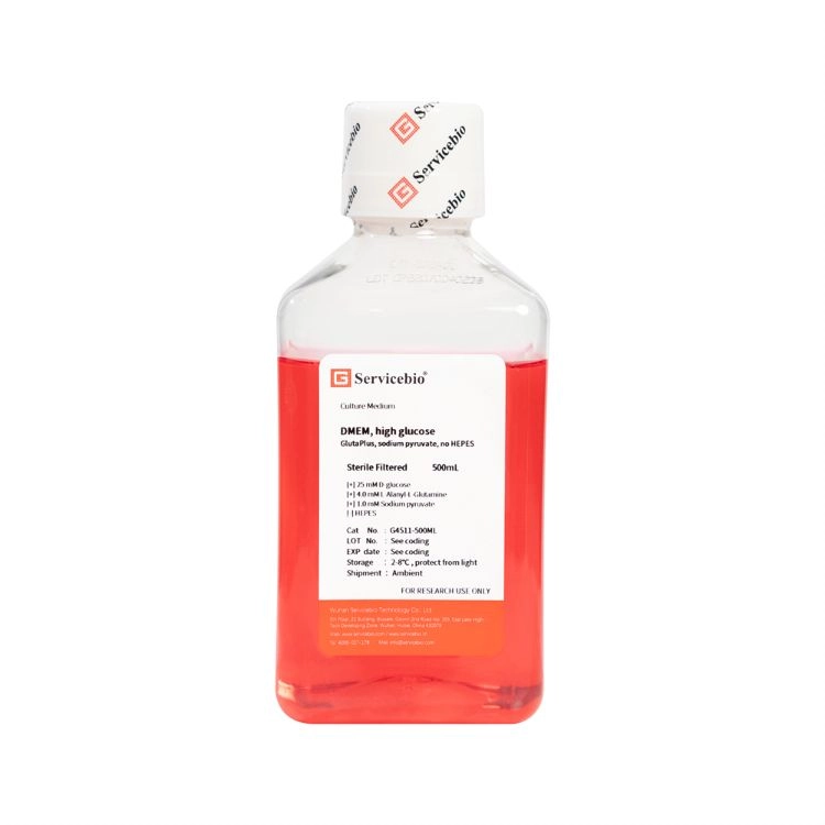 DMEM, high glucose, GlutaPlus, sodium pyruvate, no HEPES