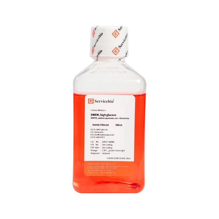 DMEM, high glucose, HEPES, sodium pyruvate, no L-Glutamine