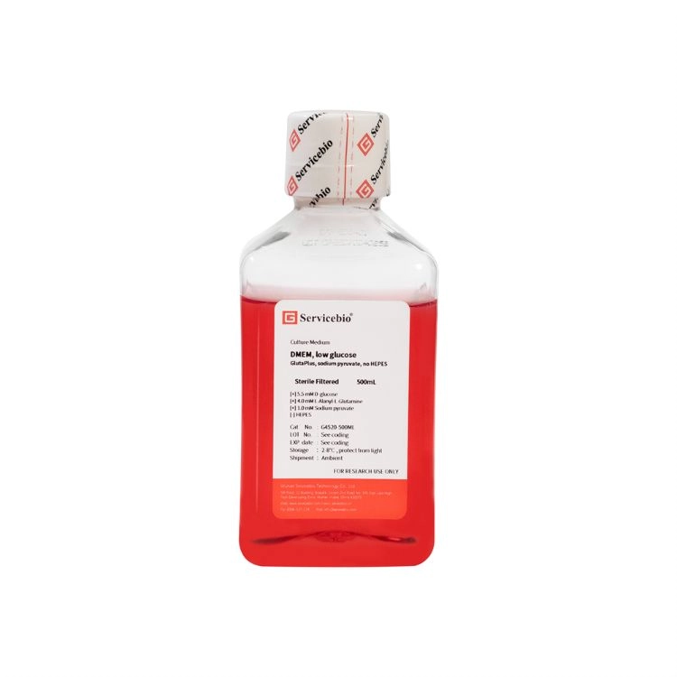 DMEM, low glucose, GlutaPlus, sodium pyruvate, no HEPES