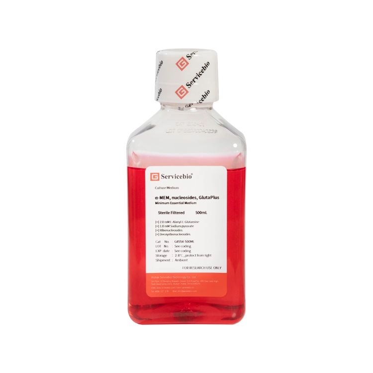α-MEM,nucleosides,GlutaPlus