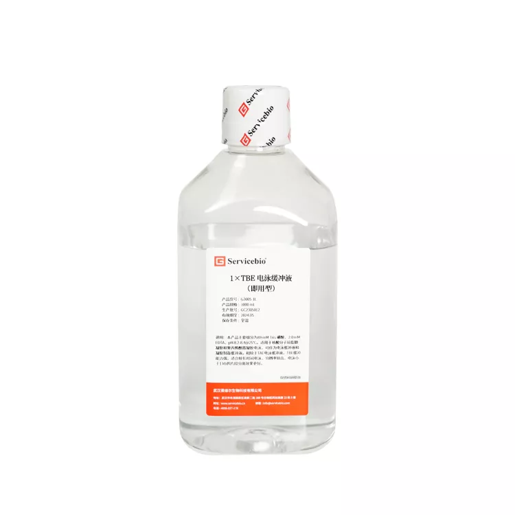Servicebio 1X TBE 電泳緩衝液