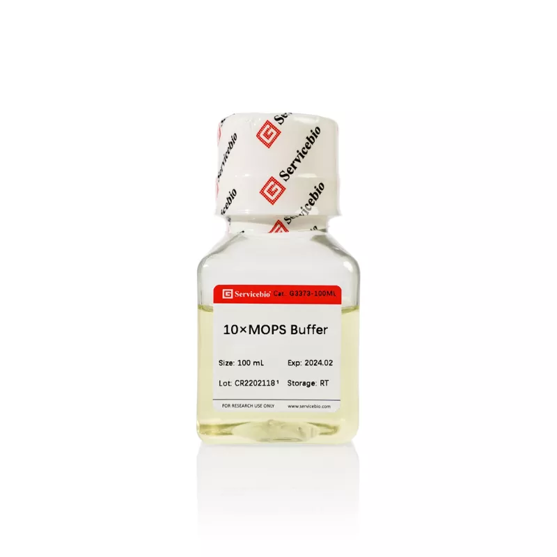 Servicebio 10×MOPS Buffer