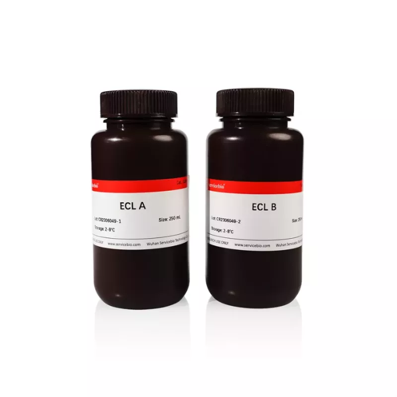 Servicebio ECL 普通等級 (Nanogram)