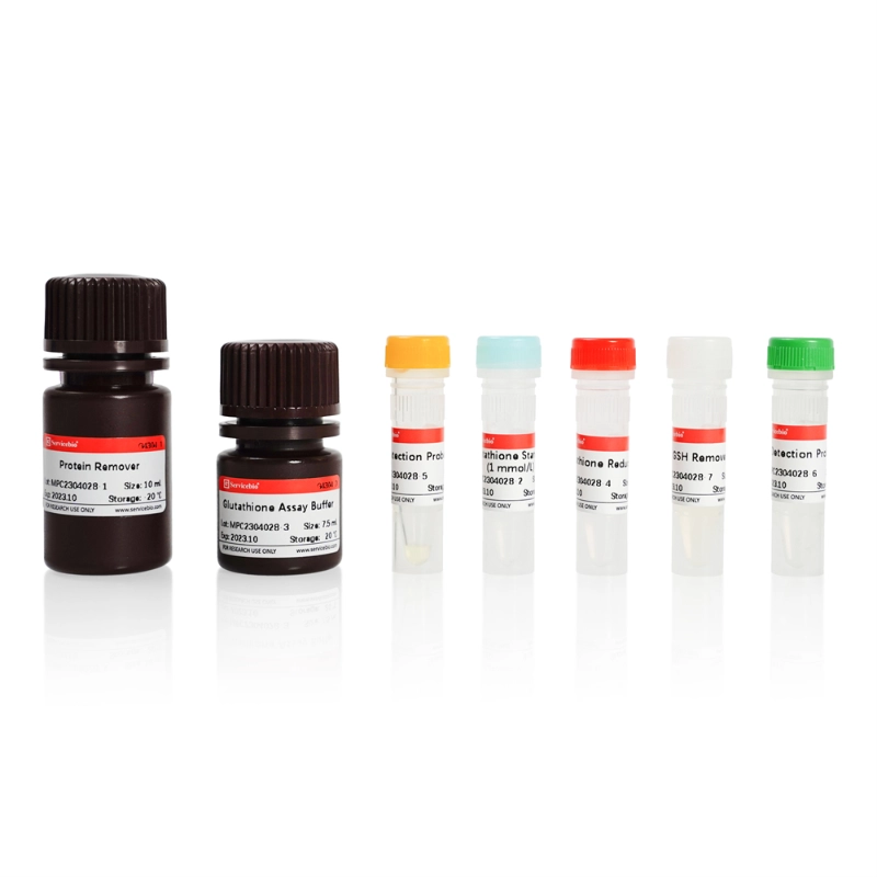 Servicebio Total Glutathione/Oxidized Glutathione Assay Kit