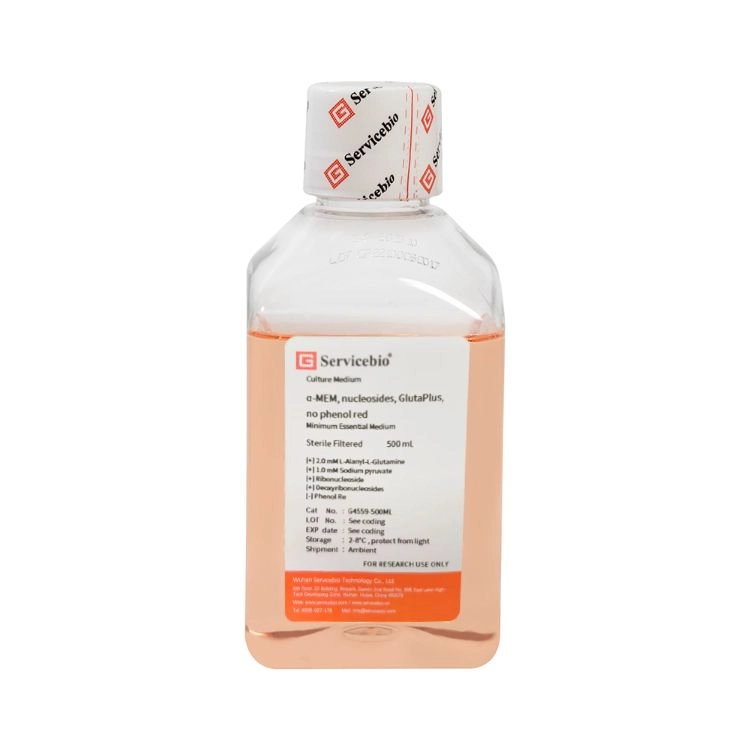 α-MEM, nucleosides, GlutaPlus, no phenol red