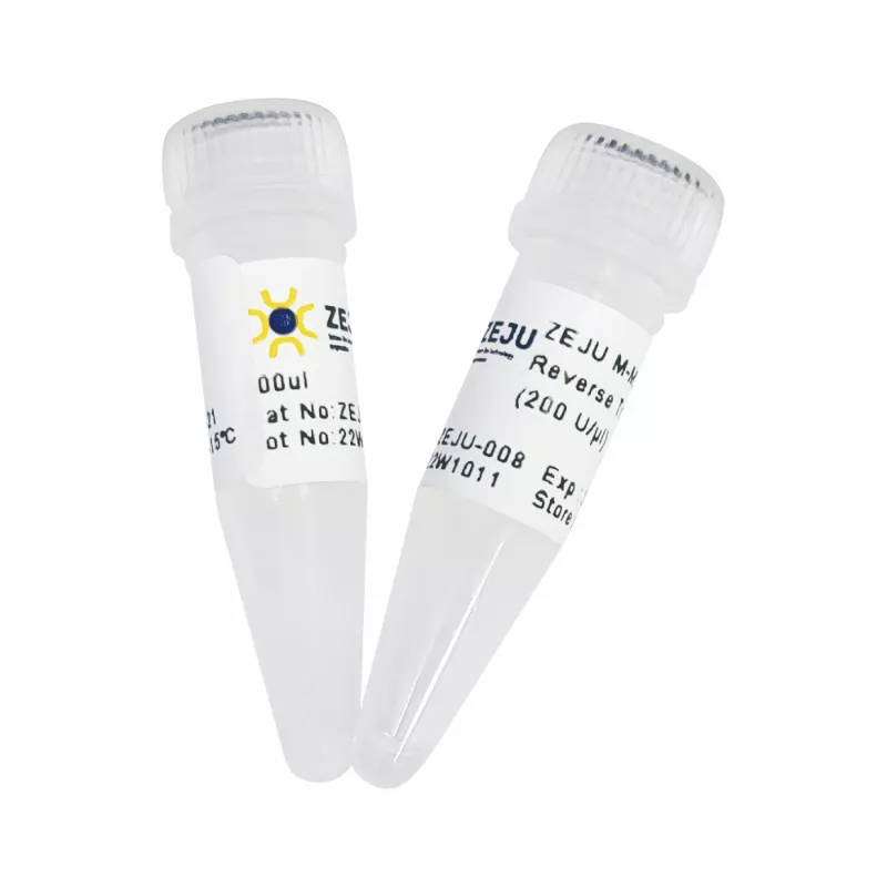 ZEJU M-MLV (H-) Reverse Transcriptase