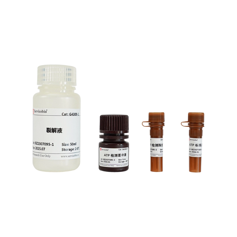 Servicebio ATP Assay Kit(ChemiLuminescence)