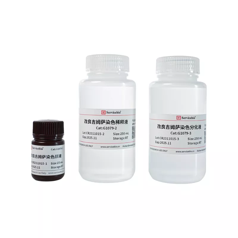 Servicebio Modified Giemsa Staining Kit